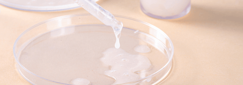 Close up picture of a skin serum on a petri dish