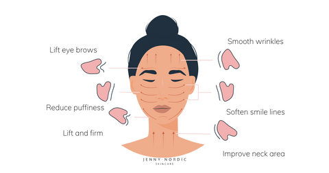 Gua sha benefits. Gua sha for beginners | Jenny Nordic Skincare