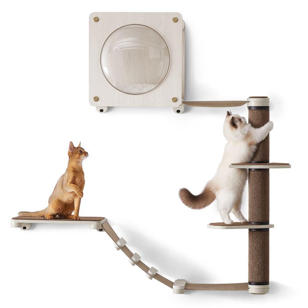 Billede af Clickat Clickat Oasis - kattemøbel klatrevægsæt med 5 stk