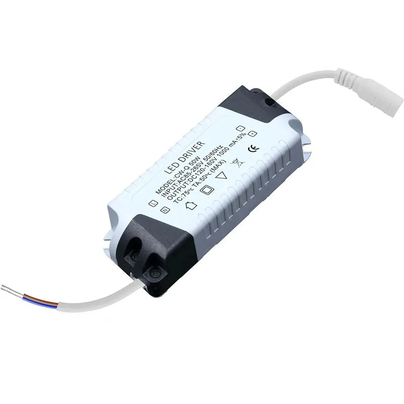 Billede af 36 - 50 W LED Driver Konstant Strøm 300mA, 108 - 195V DC Ikke dæmpbar