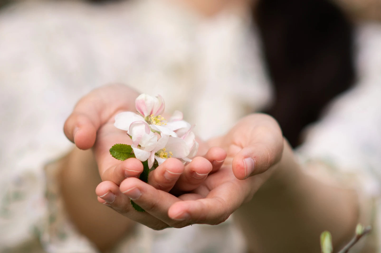 Nurturing the Promise