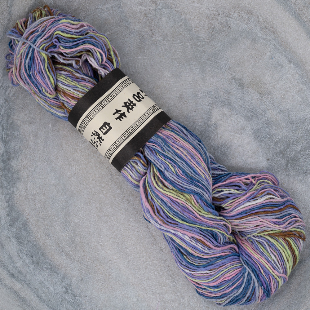 Noro Kakigori 11 Kokubunji – Wool and Company