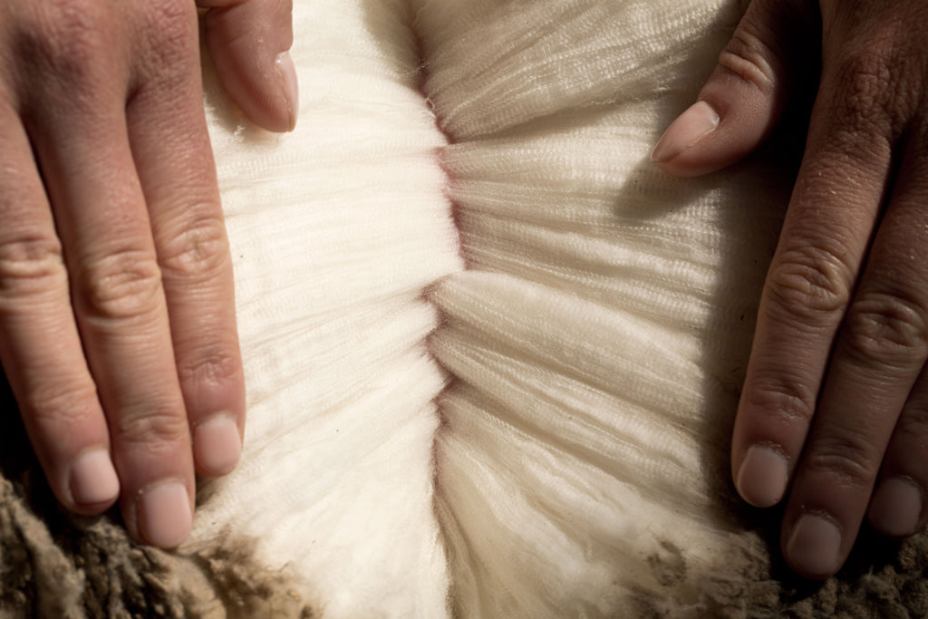 merino wool fibers