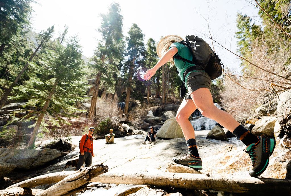 hikers in the eastern Sierra