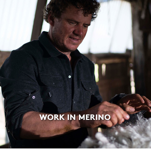 merino sheep farmer