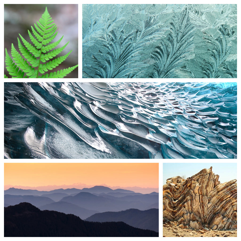 a collage of the nature patterns that inspired Ridge Merino's alpine chevron pattern