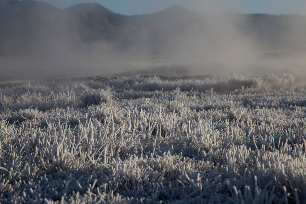 Ridge Merino Wool at Hot Springs in Mammoth