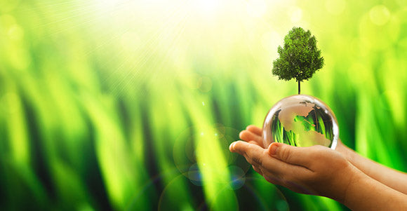 Hands holding crystal earth globe and growing tree. Arbor Day. Environment, save clean planet, ecology concept. Earth Day banner with copy space