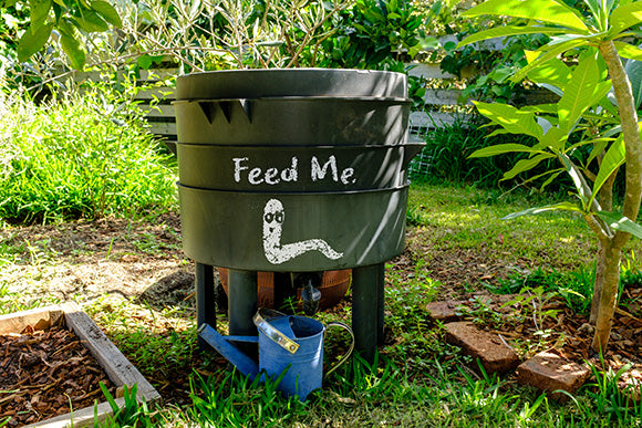 a wormery compost bin in a yard