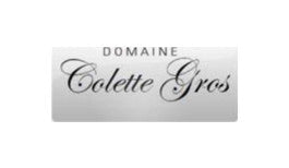 https://cdn.shopify.com/s/files/1/0650/4356/2708/articles/brands_10099_domaine-colette-gros_2151.jpg?v=1709220753