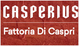 https://cdn.shopify.com/s/files/1/0650/4356/2708/articles/brands_10342_fattoria-di-caspri_1425.jpg?v=1709220570