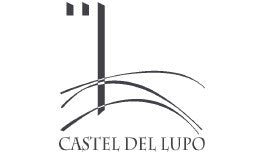 https://cdn.shopify.com/s/files/1/0650/4356/2708/articles/brands_11514_castel-del-lupo_1042.jpg?v=1709219933