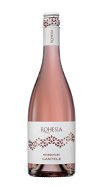 Negroamaro Rosato 'Rohesia' Cantele 2024