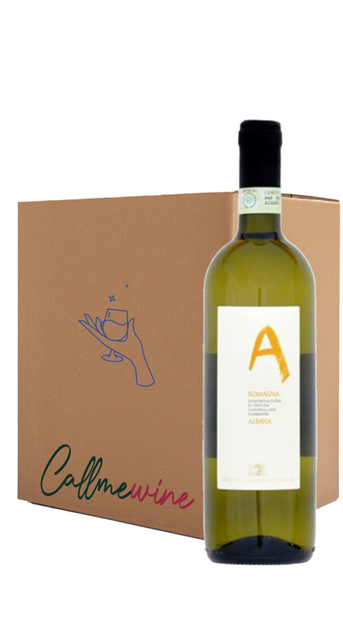 Wine Box Everyday White Wines (6bt)