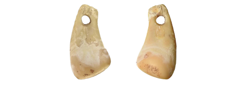 Paleolithic deer teeth amulets found in the Denisovia cave