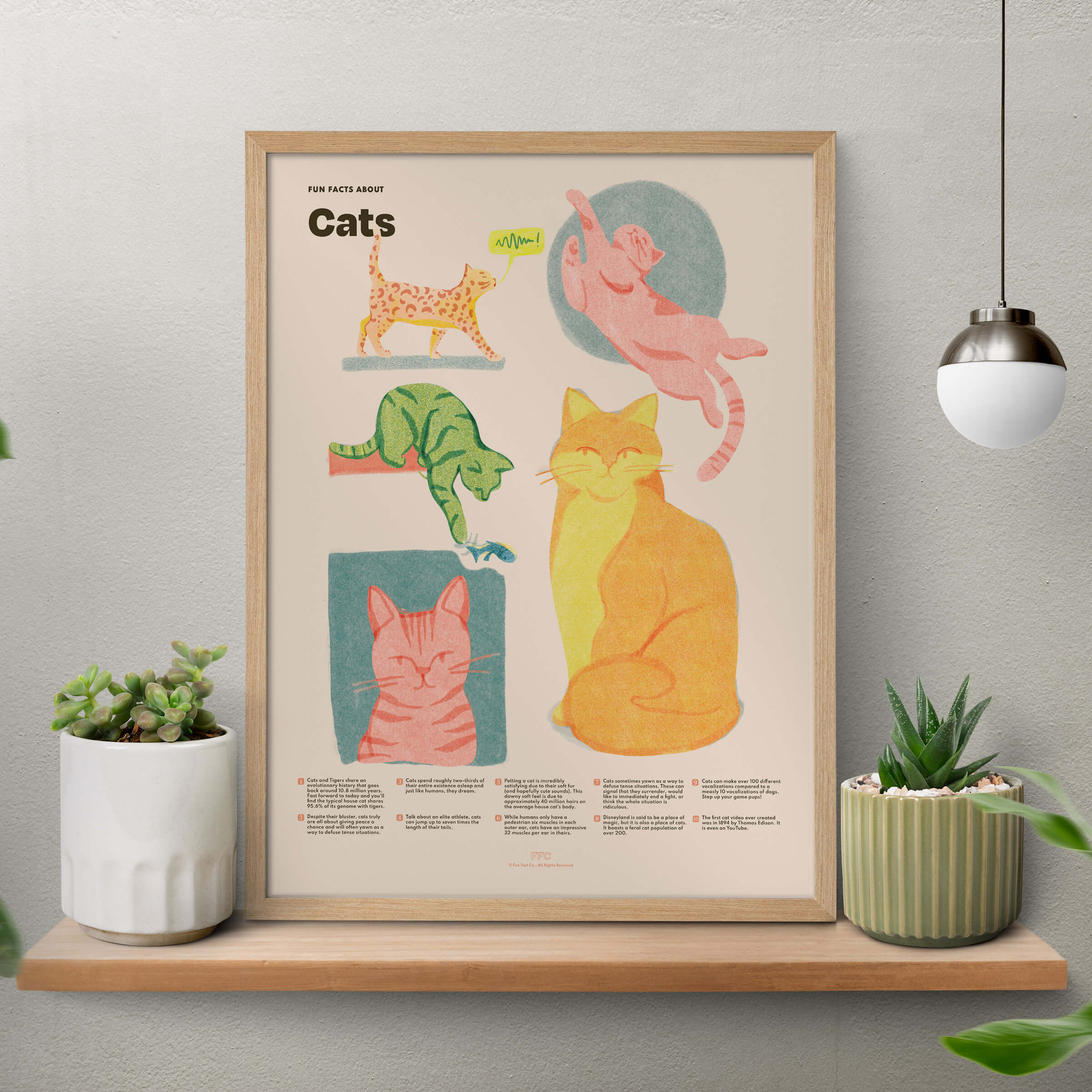 More Fun Facts about Cats - in Print Form