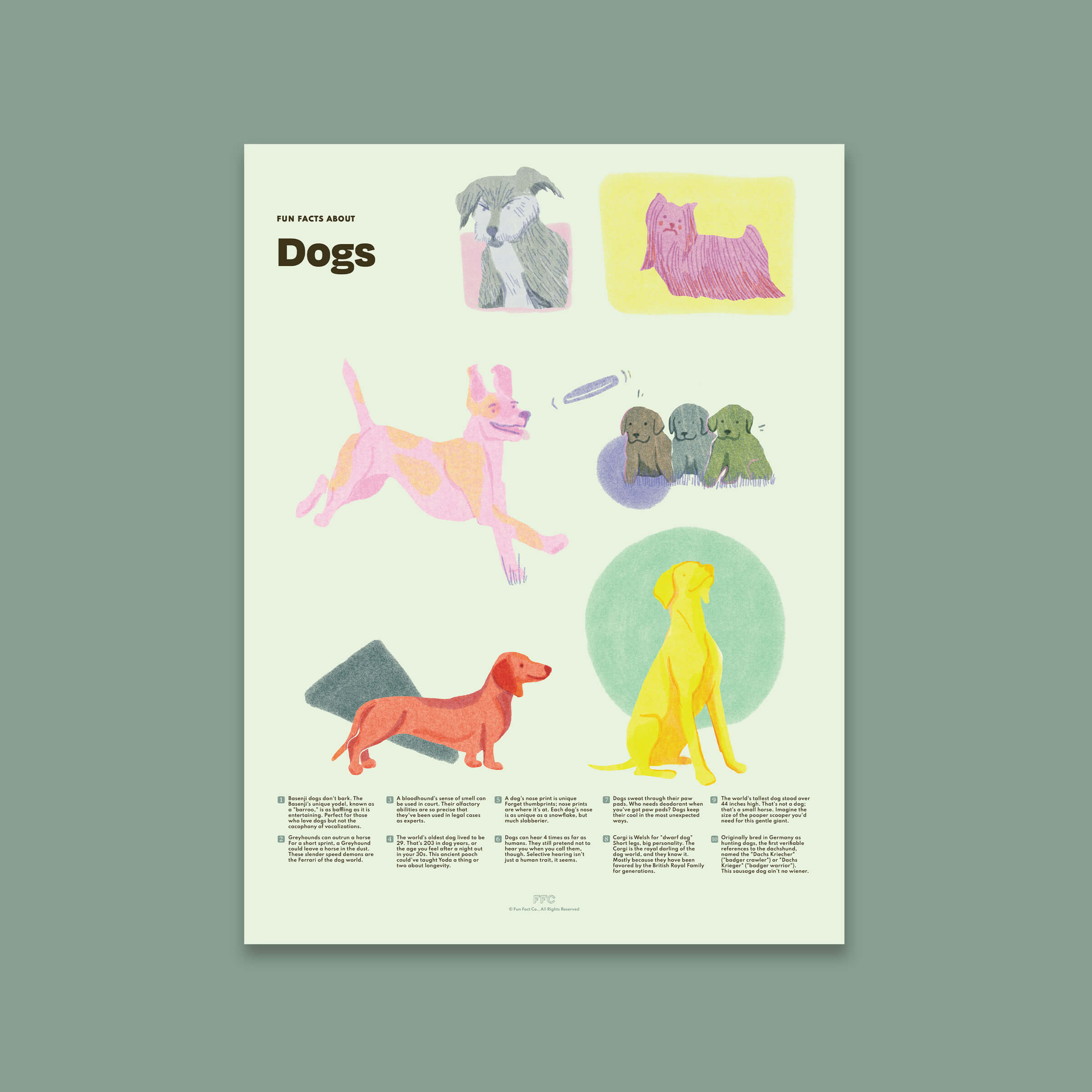 More Dog Fun Facts in Print Form