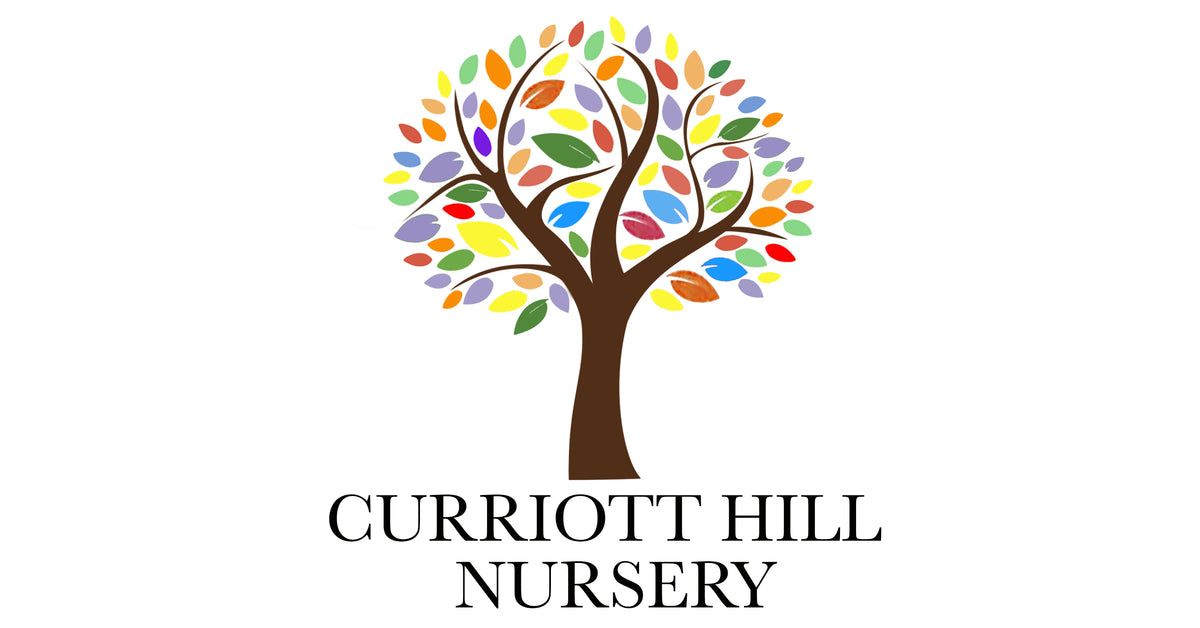 Curriott Hill Nursery