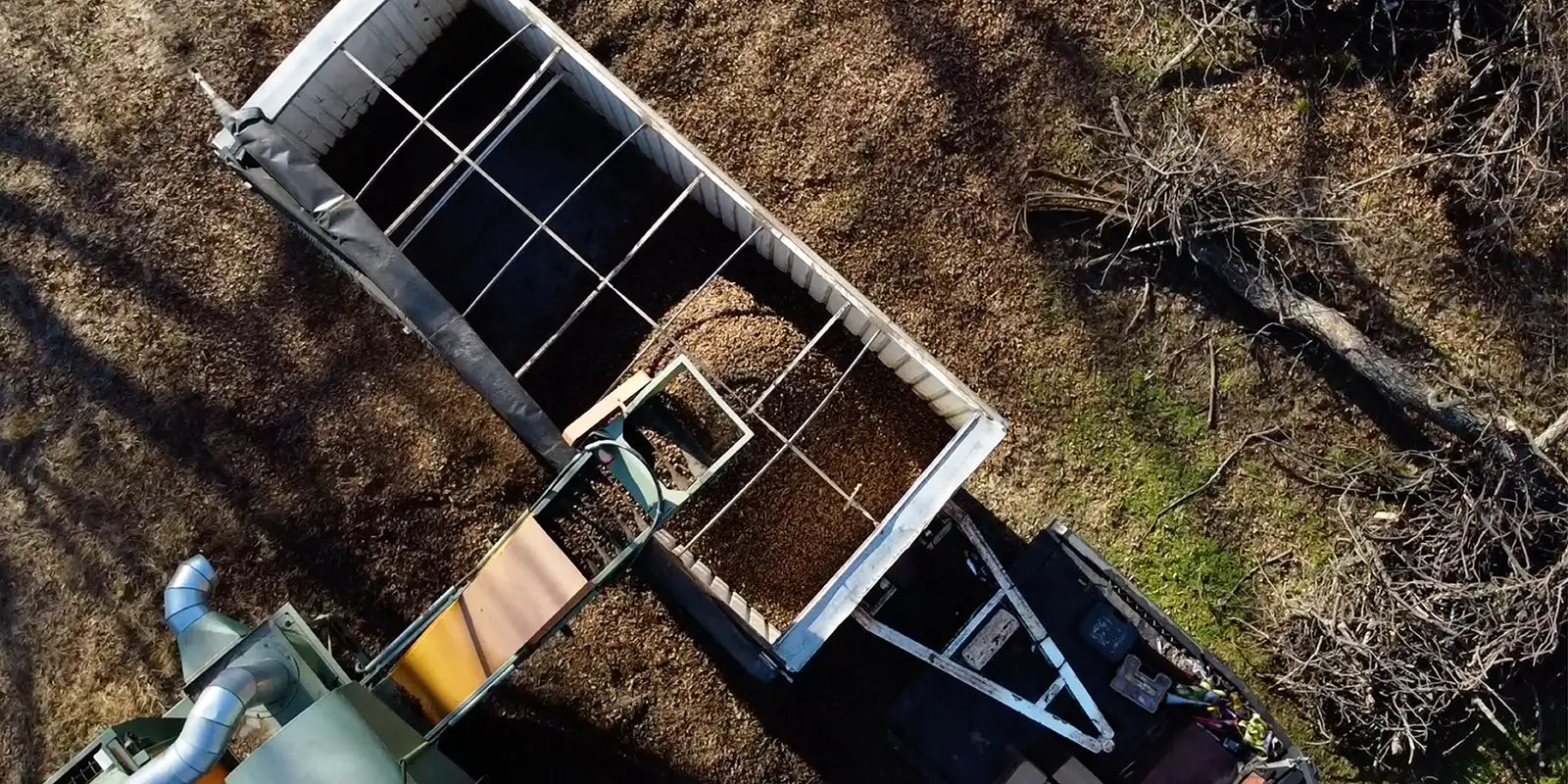 Drone photo of pecan trees being harvested with machinery