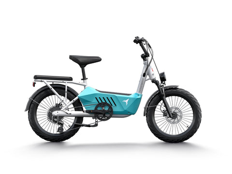 Electric Cargo Bike | Himiway