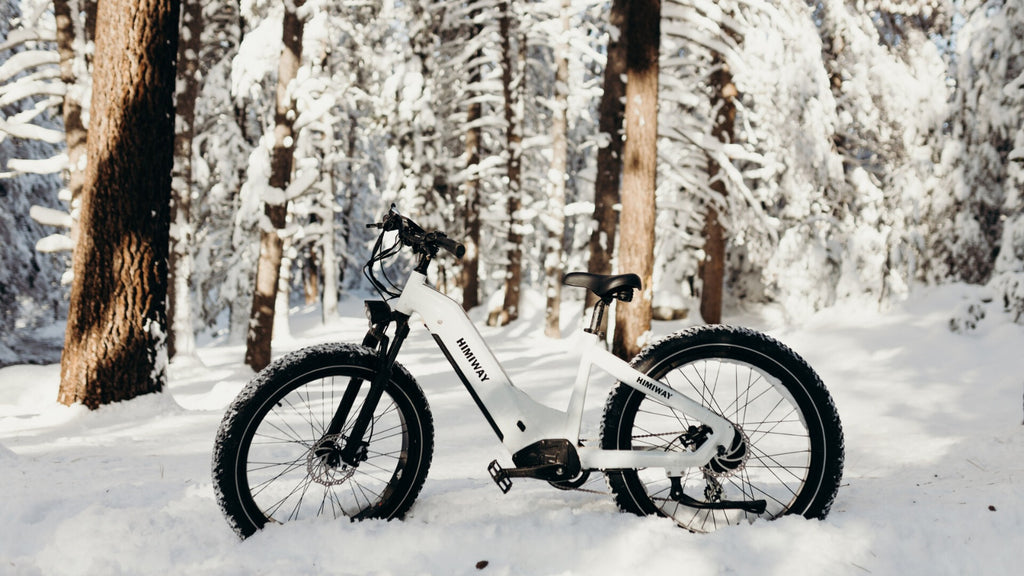 electric fat-tire bike| Himiway
