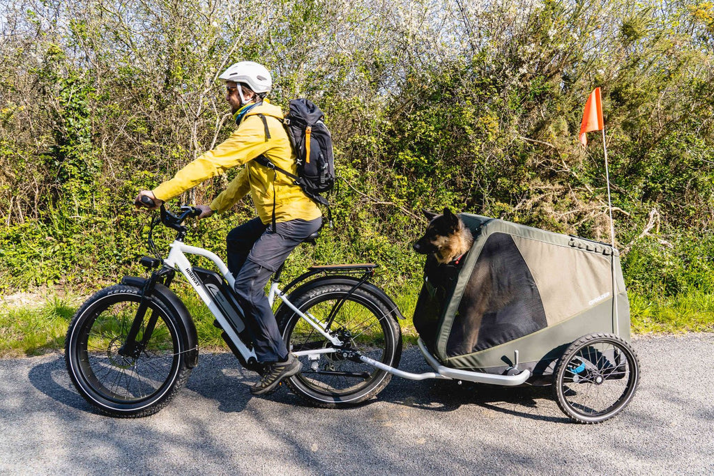 vélo électrique avec porte-chien | Himiway