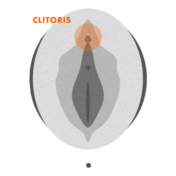 Clitoris Erogenous zone
