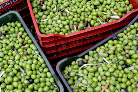 Gaea hand picked olives