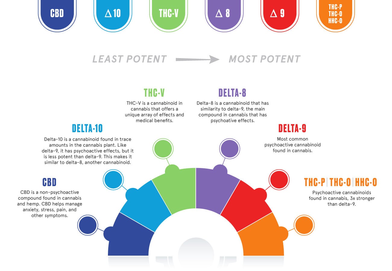 CBD delta 10 thc-v delta 8 delta 9 thc o chart King Buddha