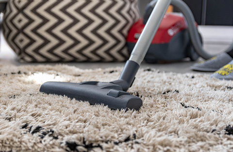 Comment nettoyer un tapis à poils longs ? - Blog Tapis-Chic