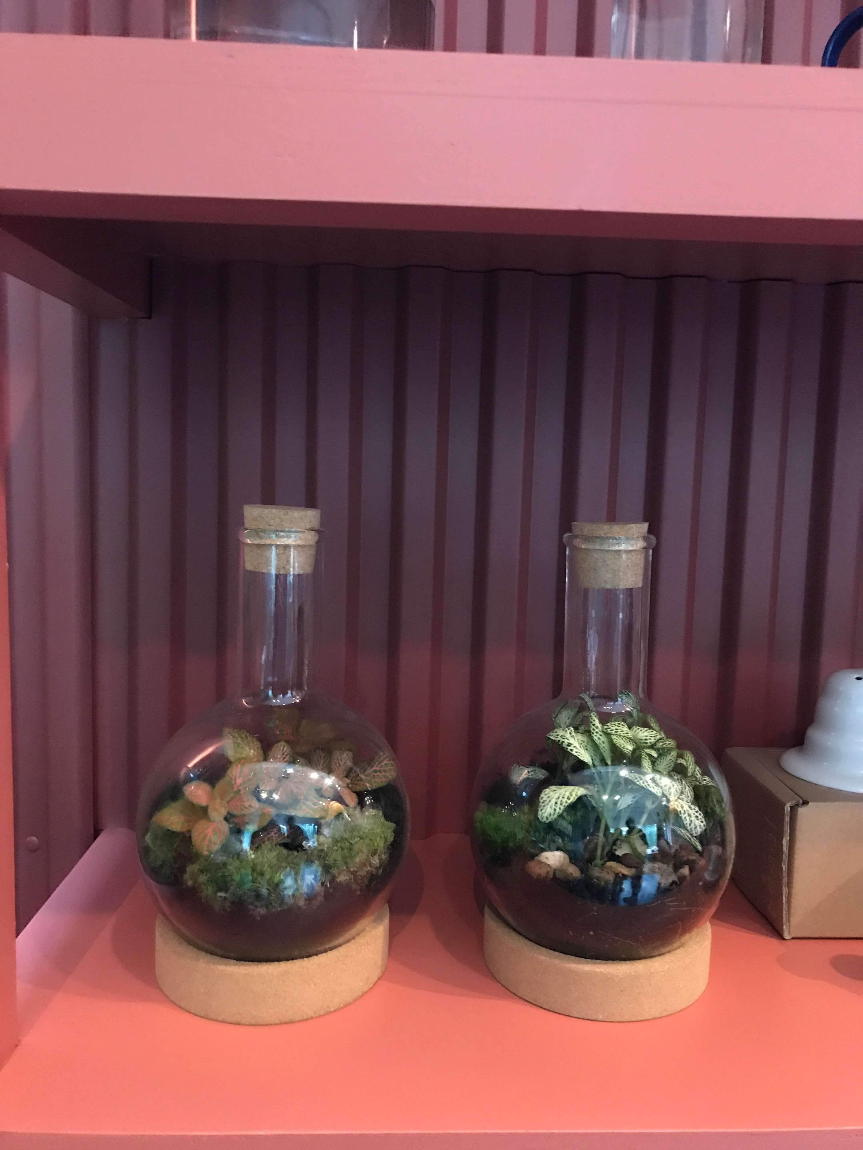 London Terrariums - Emma Sibley - Shop - John Lewis