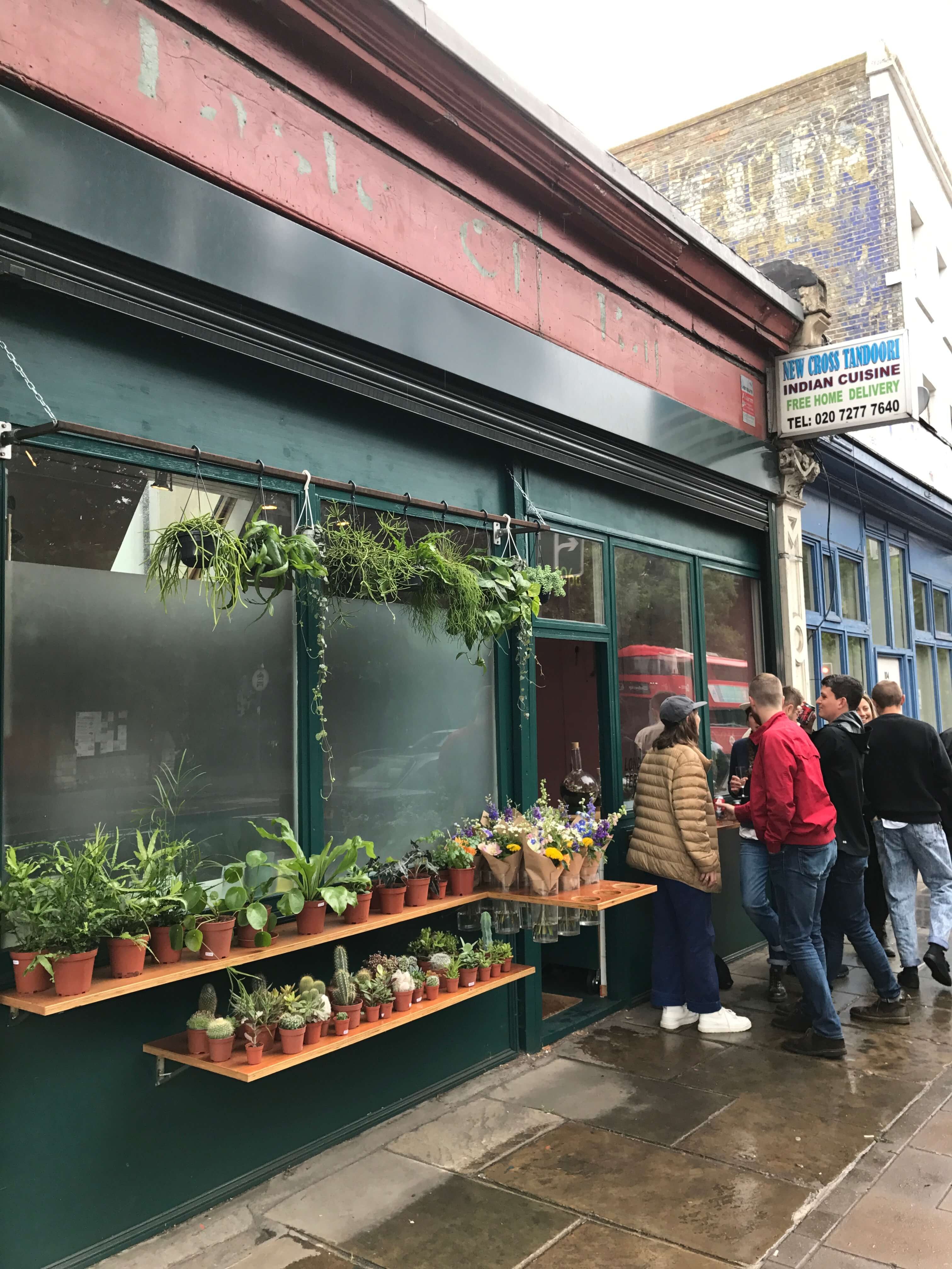 London Terrariums - Emma Sibley - Shop - John Lewis