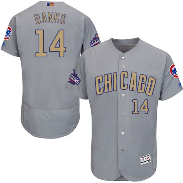 Kris Bryant Chicago Cubs Signed Autographed Gray #17 Jersey JSA