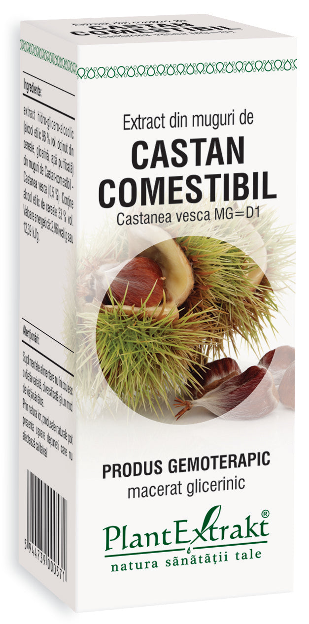 Extract din muguri de castan comestibil, 50 ml, plantextrakt