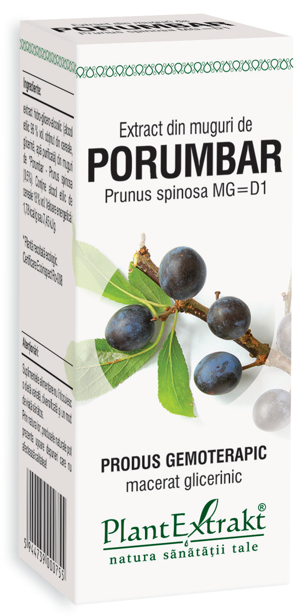 Extract din muguri de porumbar, 50 ml, plantextrakt