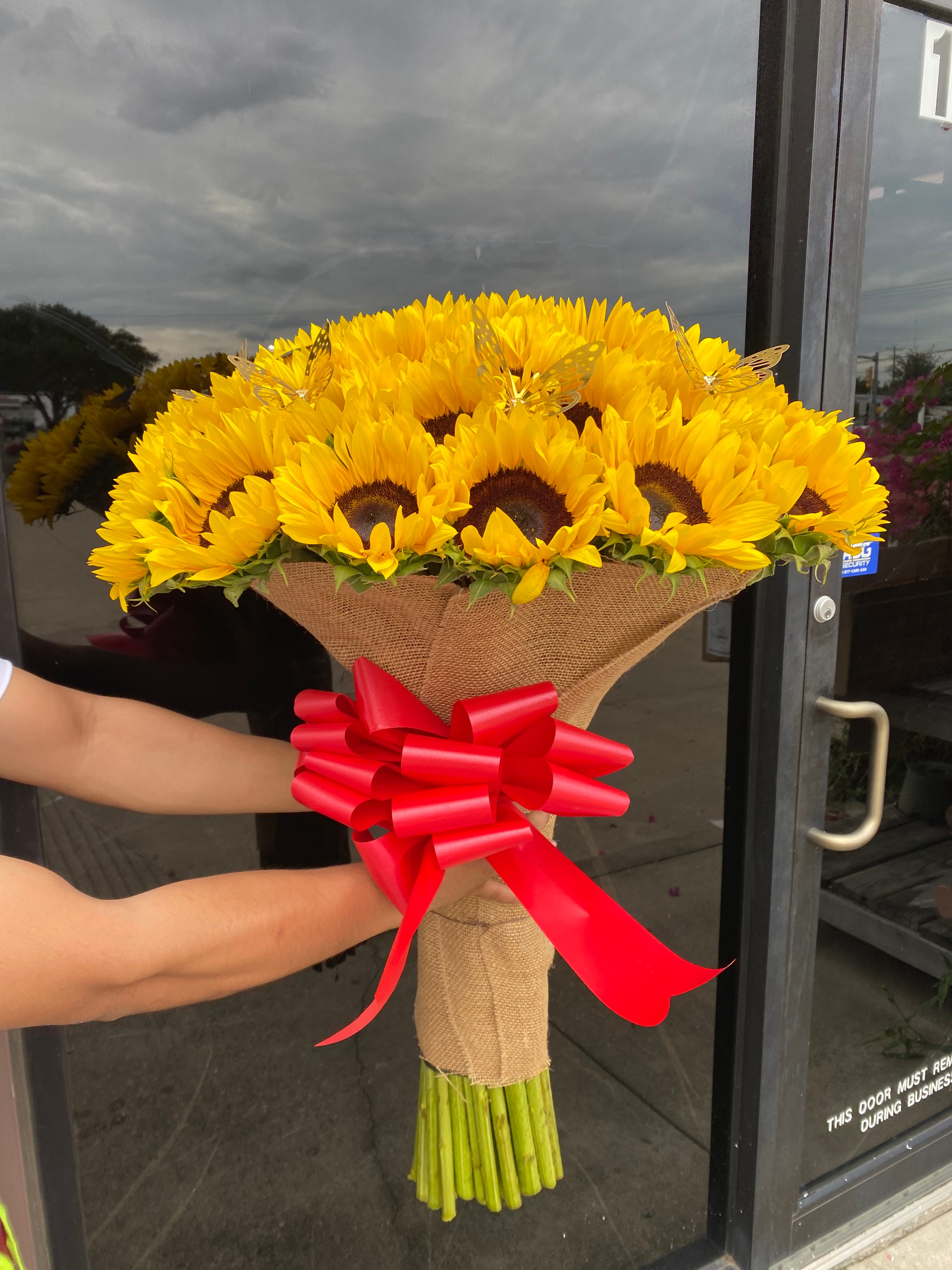 50 sunflowers elegant stems 💕