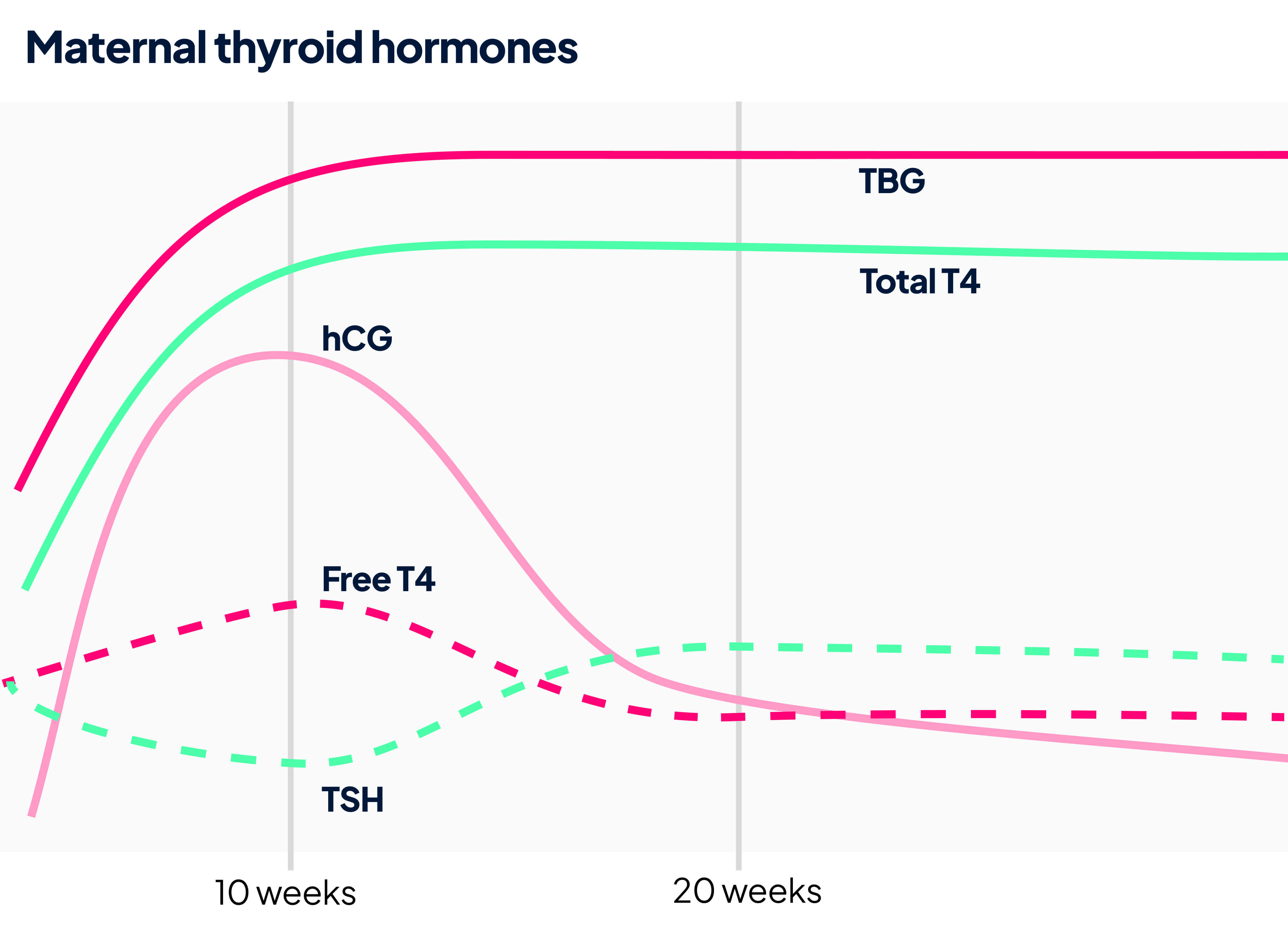 Symptoms of low and high t4 levels table 