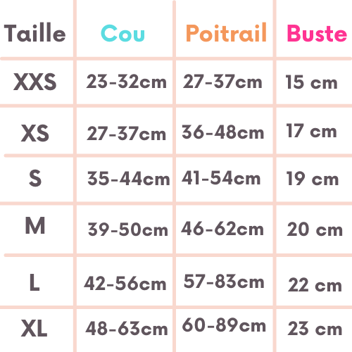 Guide des Tailles Chien