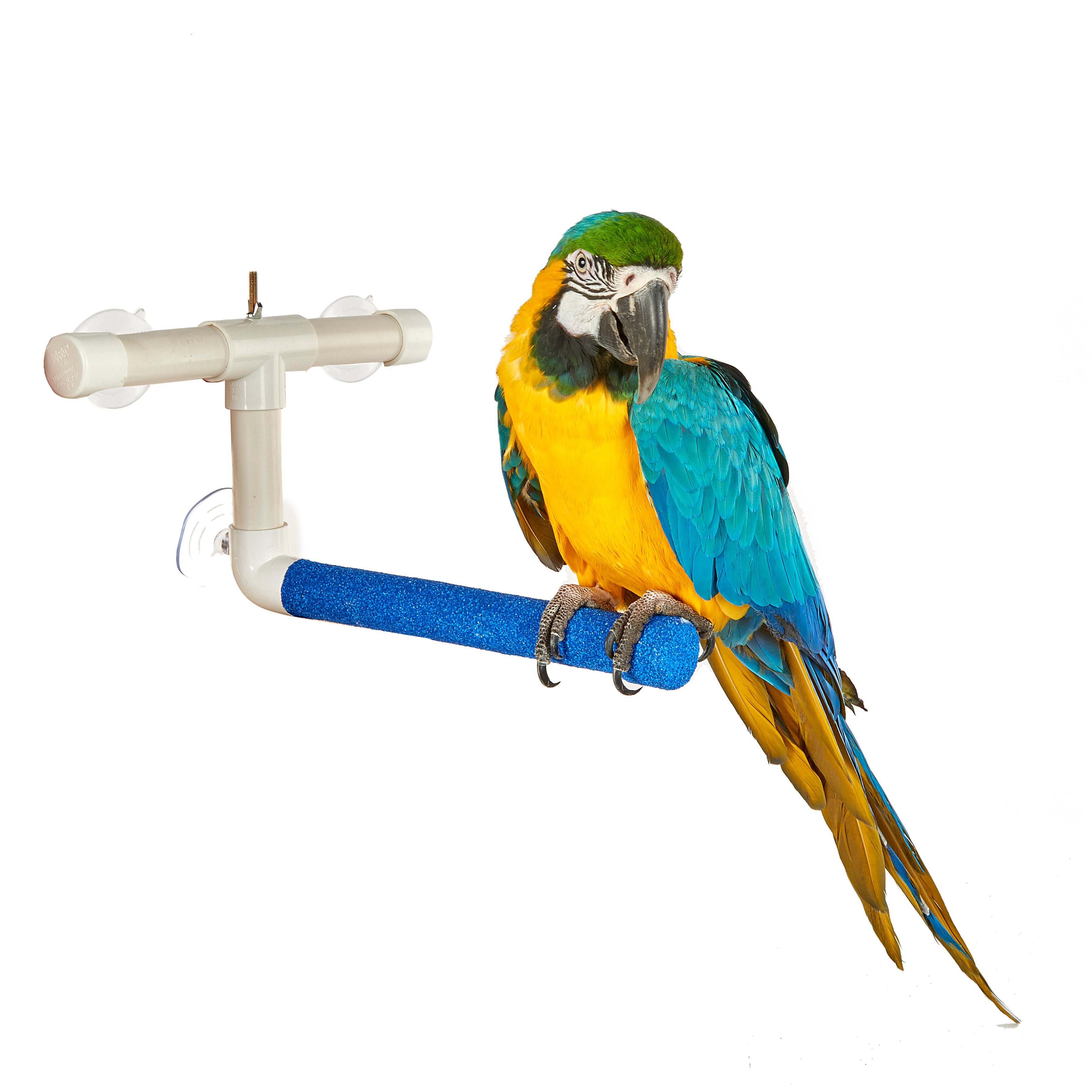 Bird Perches: Wooden, Corner, Heated, Shower and Rope Perches