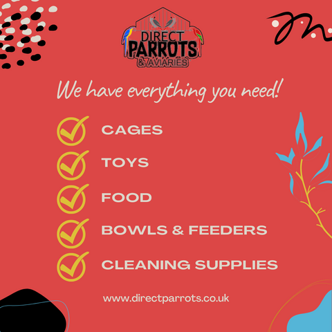 we have everything you need: cages, toys, food, bowls & feeders, cleaning supplies