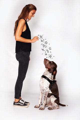 Chiara Ambrosoli e Donarturo per Teste di cane fermalibri