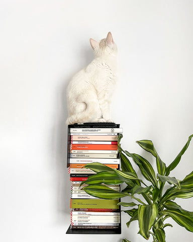 Mensola per gatti libreria Donarturo Torre 