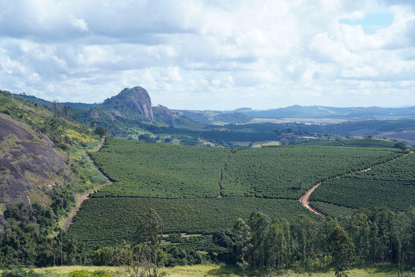 BRAZIL HERMANOS DA PEDRA GRANDE 250g-image-6