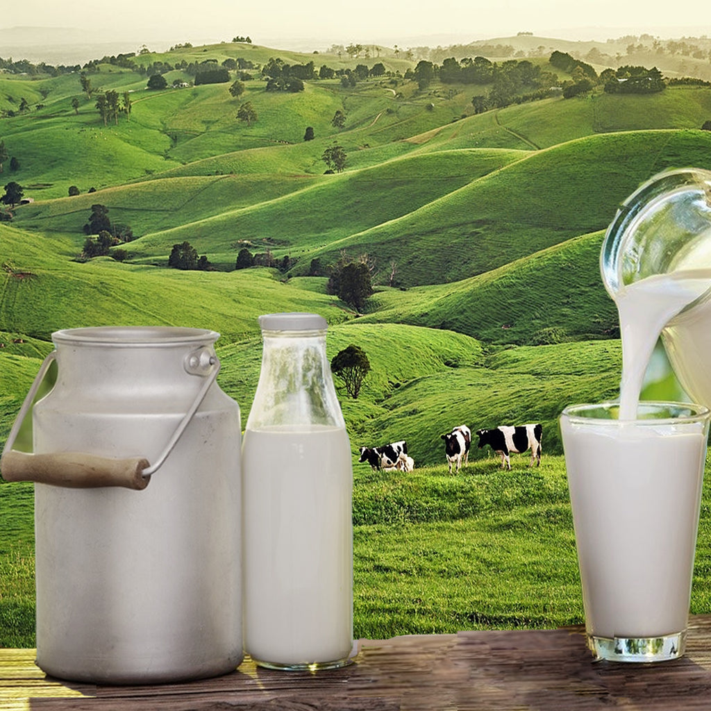 9 Ways To Grow Milk Kefir Grains Faster Yemoos Nourishing Cultures