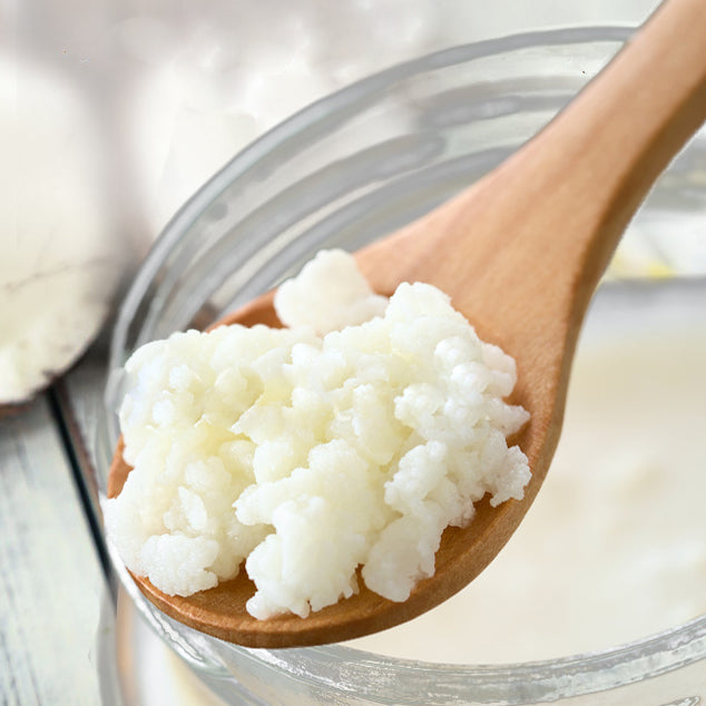What Are The Benefits Of Eating Milk Kefir Grains Yemoos Nourishing Cultures