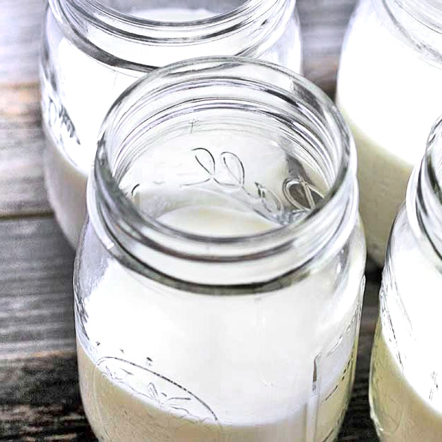 Kefir Grains Make The Milk Better - Healthieyoo