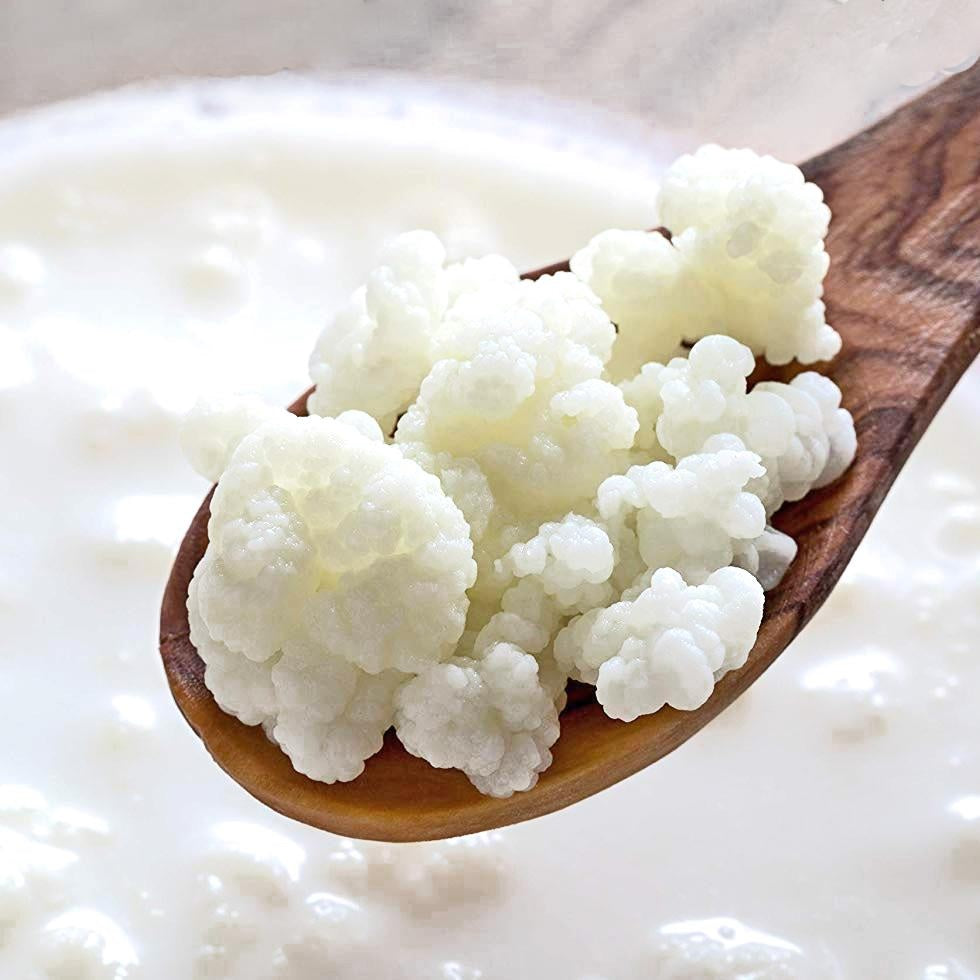 Ratio kefir grains to milk