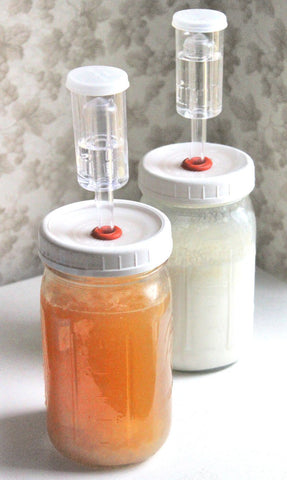 Air lock system for fermentations
