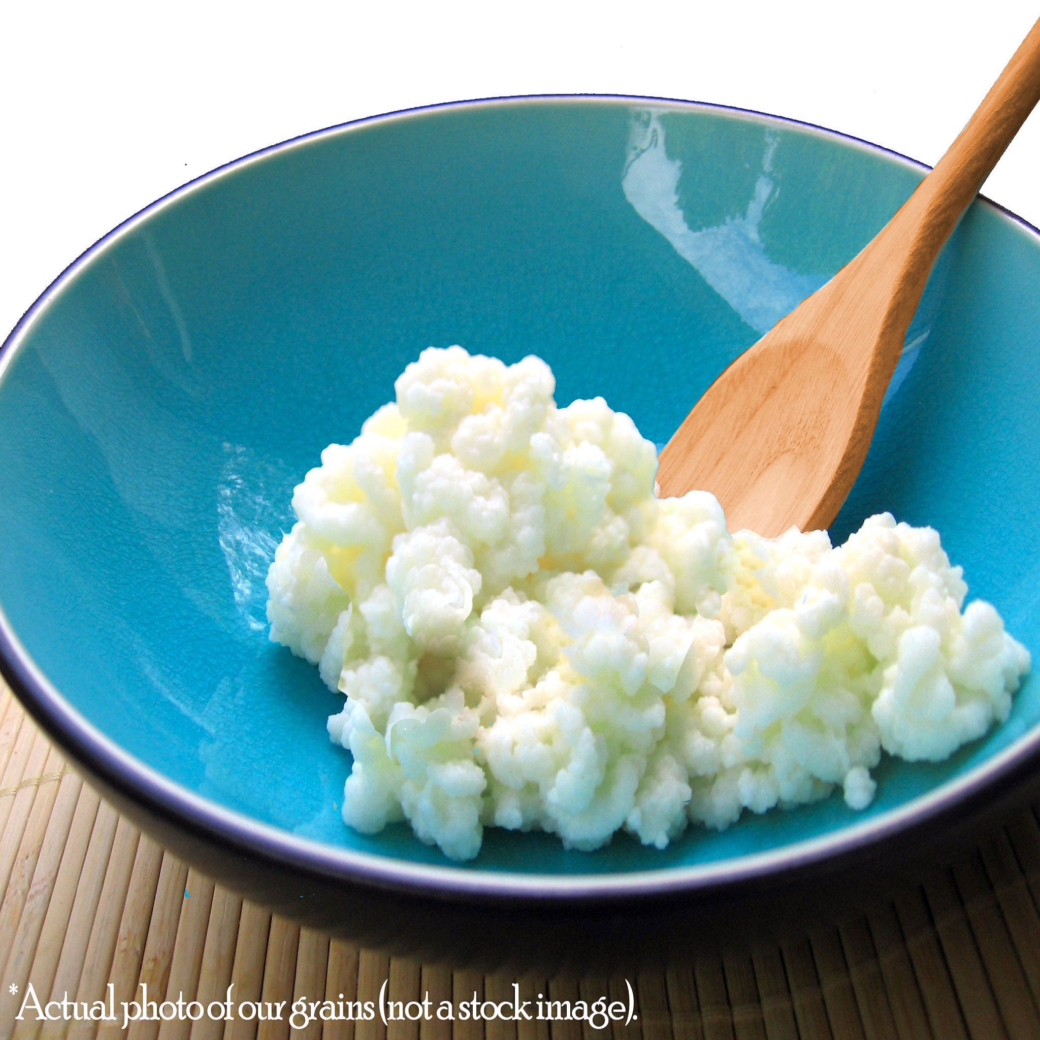 Fresh Organic Kefir Grains – Microbiota, Incorporated