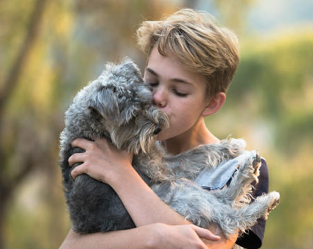 Prenez soin de l'hygiène des chiens